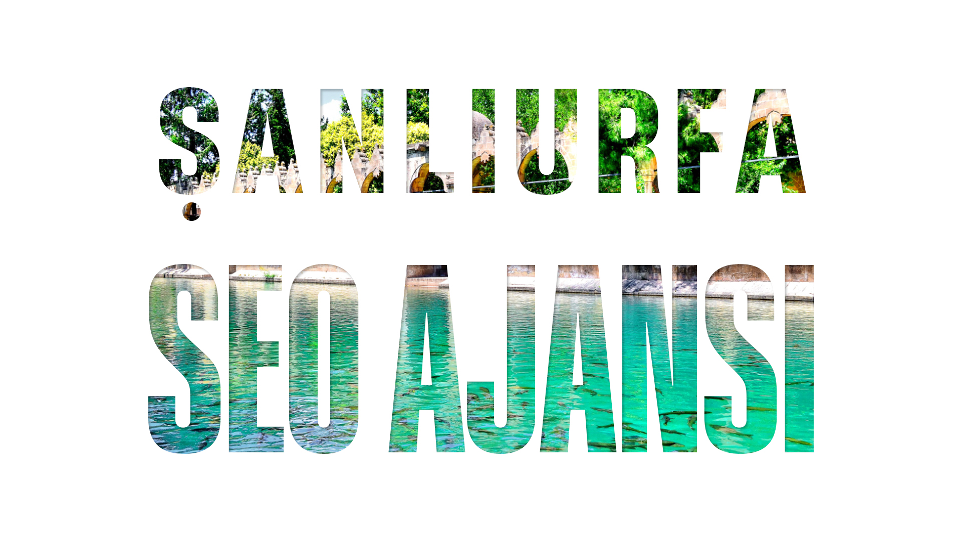 sanliurfa-seo-ajansi-jpg